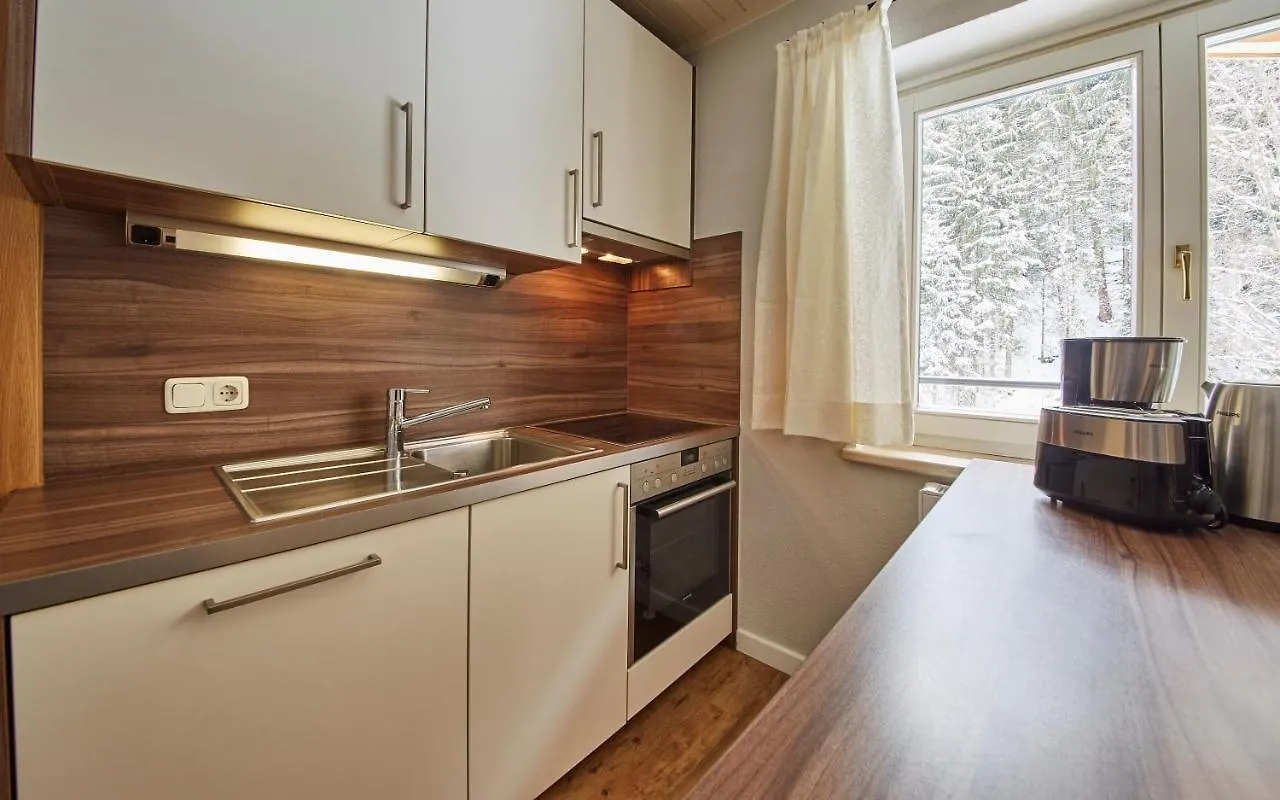 Hüttl Relax Appartements by HolidayFlats24 Saalbach Apartment